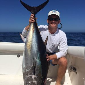 Meet your Posher, Jack